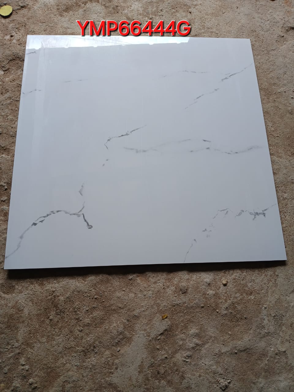 Carrelage YMP66444G
