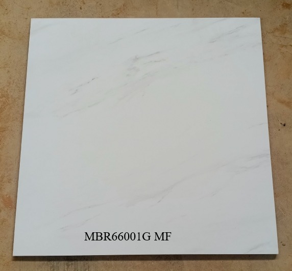 MBR66001G