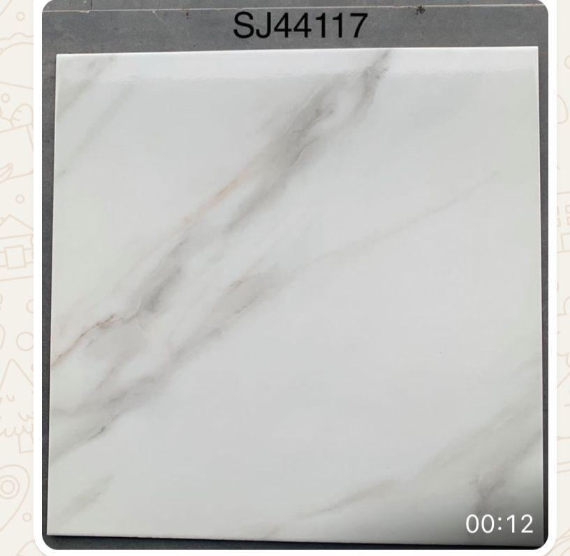 SJ44117
